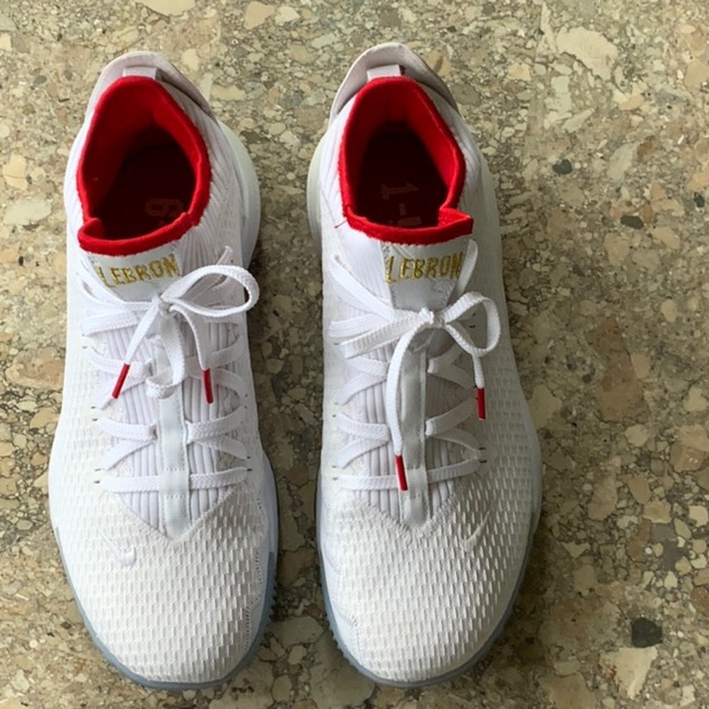 Nike Lebron James basketball shoes